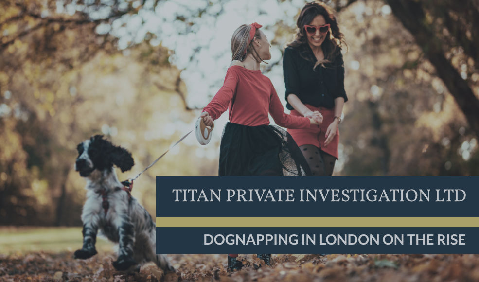 Dognapping In London | Titan Investigations