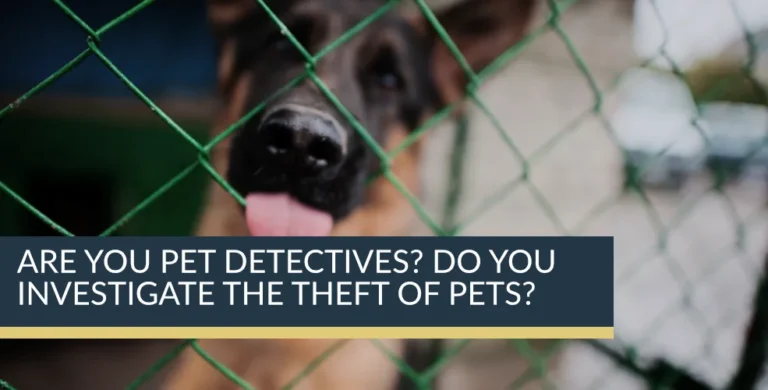 Are you Pet Detectives? Do you investigate the theft of pets?
