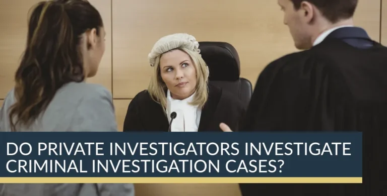 Do Private Investigators Investigate Criminal Investigation Cases?